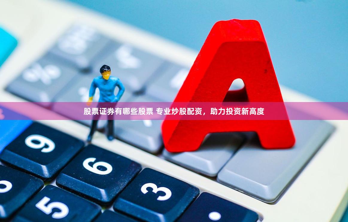 股票证券有哪些股票 专业炒股配资，助力投资新高度