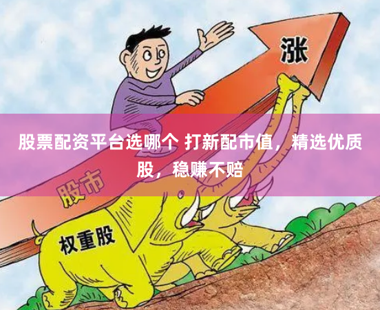 股票配资平台选哪个 打新配市值,精选优质股,稳赚不赔