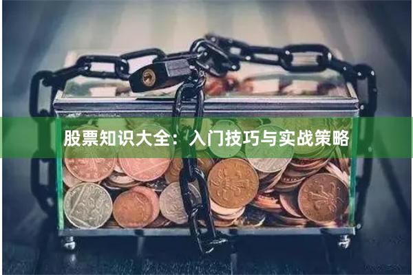 股票知识大全：入门技巧与实战策略